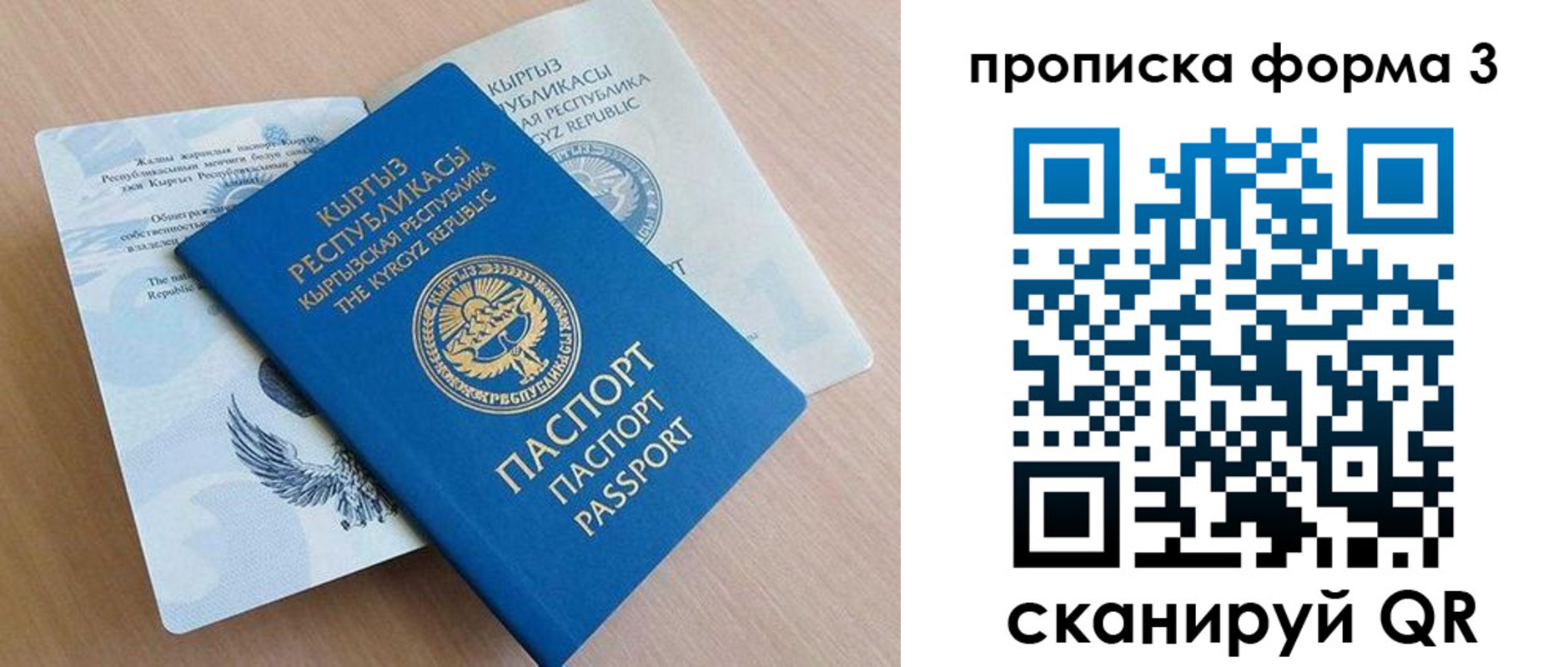 где прописаться в Тихорецке